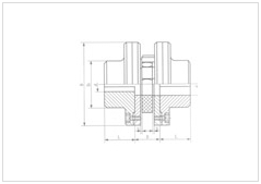 XLS spider type coupling